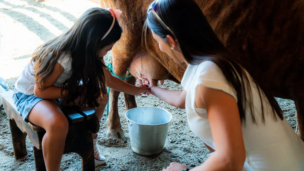 Contato com os animais na fazendinha